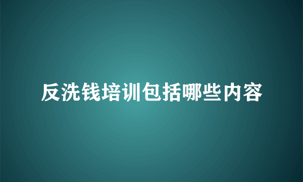 反洗钱培训包括哪些内容