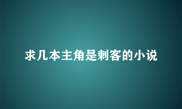 求几本主角是刺客的小说