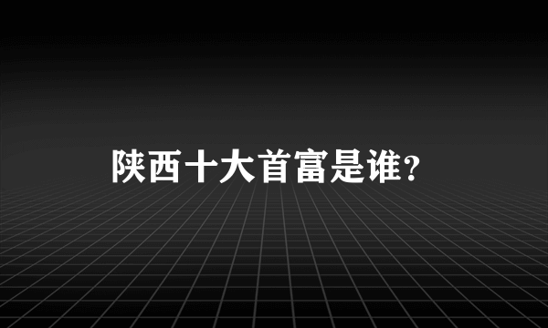 陕西十大首富是谁？