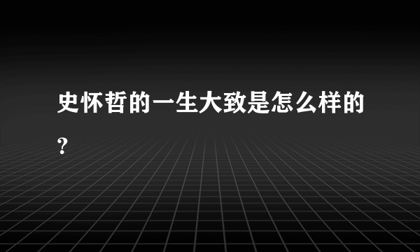 史怀哲的一生大致是怎么样的？