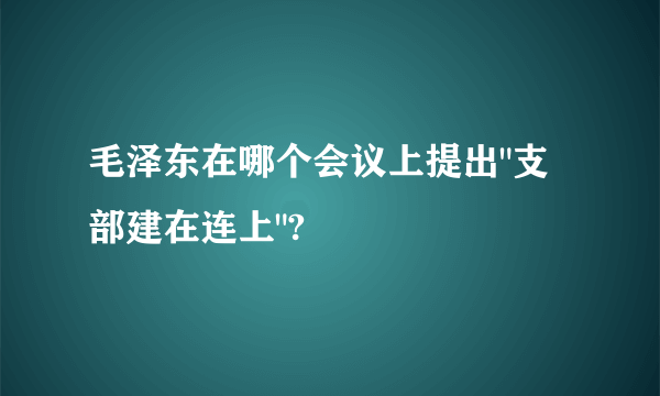 毛泽东在哪个会议上提出