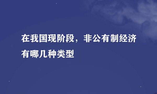 在我国现阶段，非公有制经济有哪几种类型