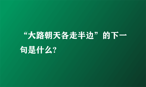 “大路朝天各走半边”的下一句是什么?