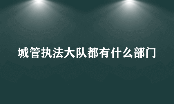 城管执法大队都有什么部门