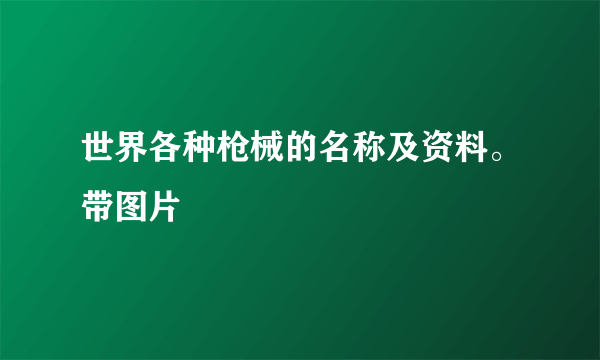 世界各种枪械的名称及资料。带图片