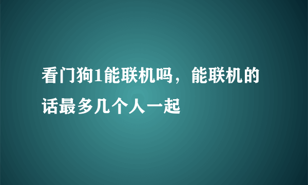 看门狗1能联机吗，能联机的话最多几个人一起