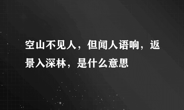 空山不见人，但闻人语响，返景入深林，是什么意思