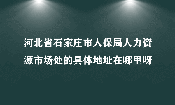 河北省石家庄市人保局人力资源市场处的具体地址在哪里呀