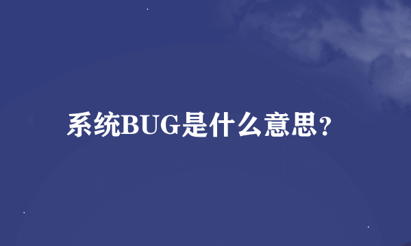 系统BUG是什么意思？