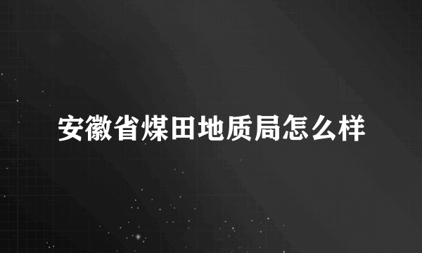 安徽省煤田地质局怎么样