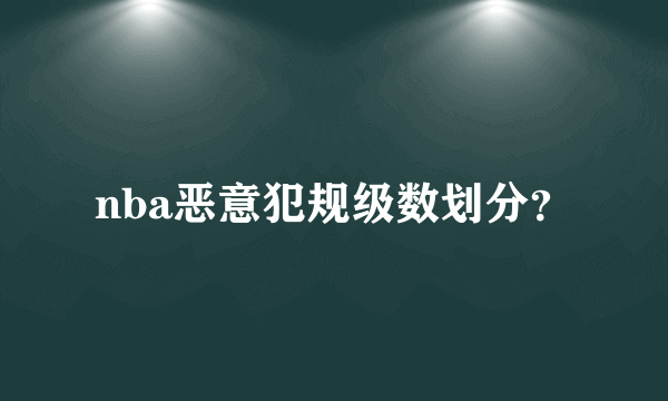 nba恶意犯规级数划分？