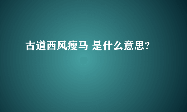 古道西风瘦马 是什么意思?