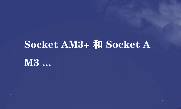 Socket AM3+ 和 Socket AM3 是一样的插槽吗