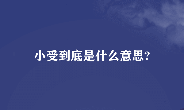 小受到底是什么意思?