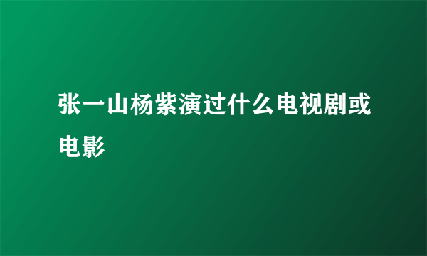 张一山杨紫演过什么电视剧或电影