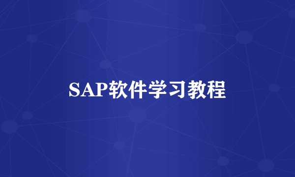 SAP软件学习教程