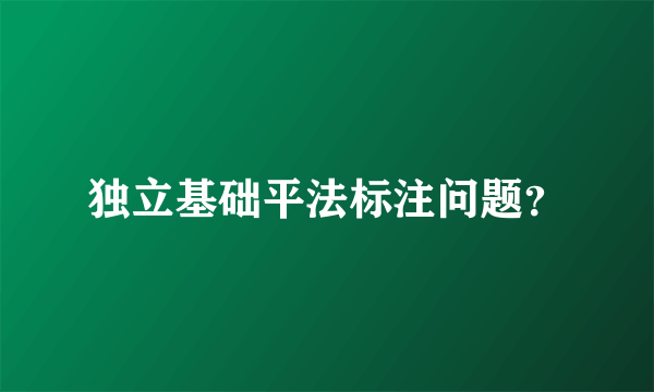 独立基础平法标注问题？