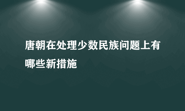 唐朝在处理少数民族问题上有哪些新措施