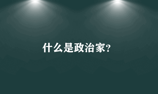 什么是政治家？