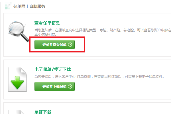 保险保单号查询怎么查