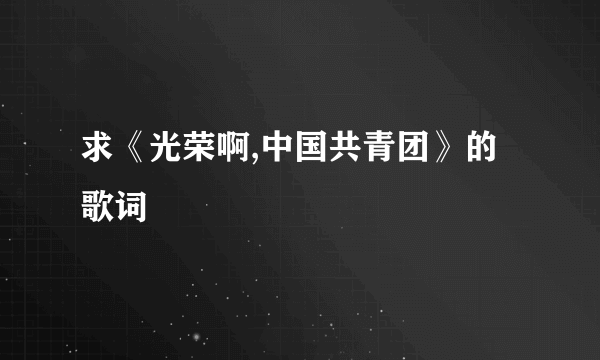 求《光荣啊,中国共青团》的歌词