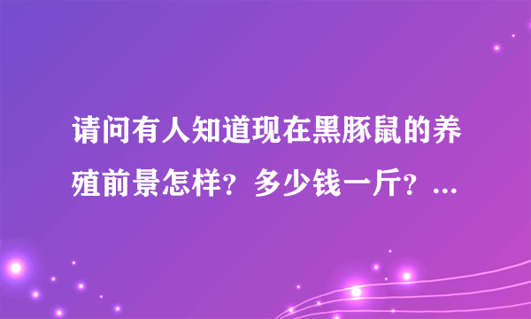 请问有人知道现在黑豚鼠的养殖前景怎样？多少钱一斤？谢谢！！