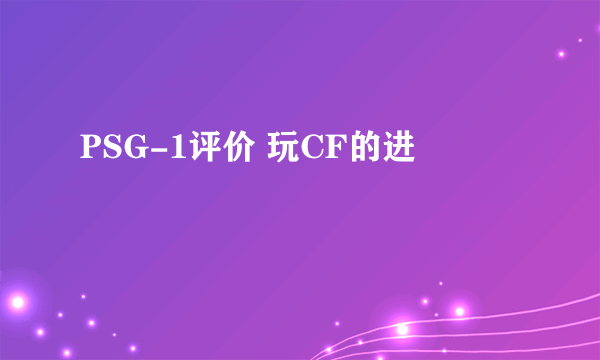 PSG-1评价 玩CF的进