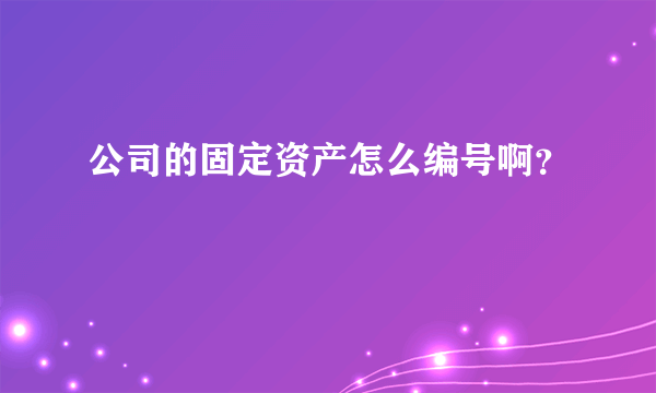 公司的固定资产怎么编号啊？