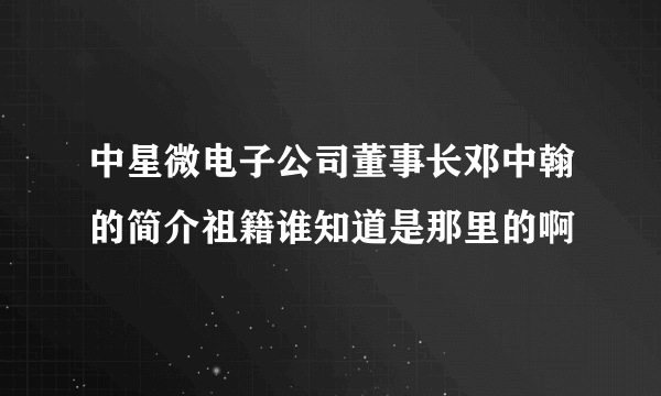 中星微电子公司董事长邓中翰的简介祖籍谁知道是那里的啊