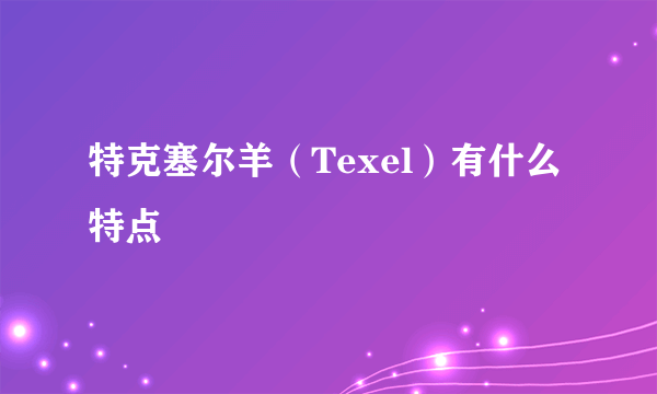 特克塞尔羊（Texel）有什么特点