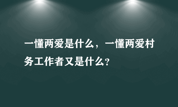 一懂两爱是什么，一懂两爱村务工作者又是什么？