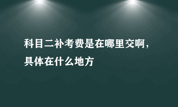 科目二补考费是在哪里交啊，具体在什么地方