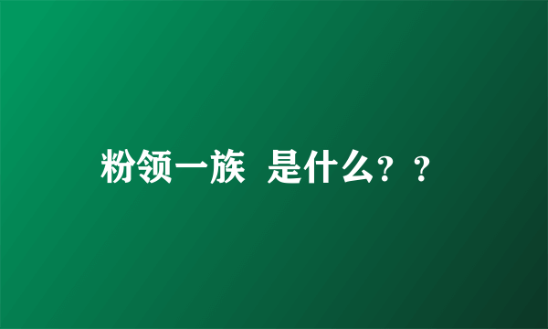 粉领一族  是什么？？