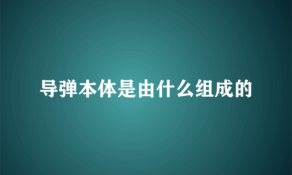 导弹本体是由什么组成的