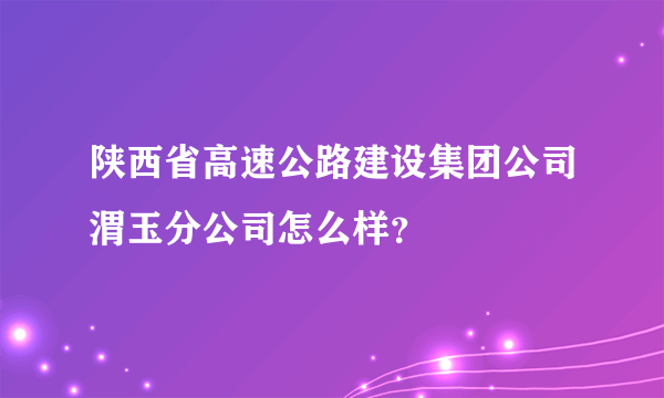 陕西省高速公路建设集团公司渭玉分公司怎么样？