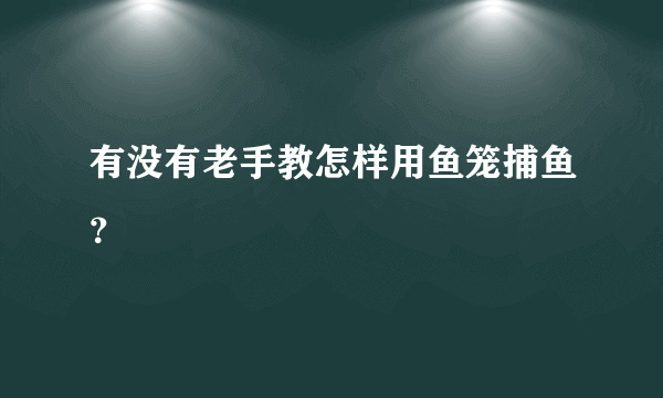 有没有老手教怎样用鱼笼捕鱼？