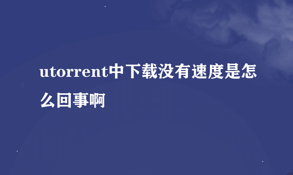 utorrent中下载没有速度是怎么回事啊