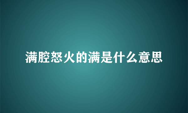 满腔怒火的满是什么意思