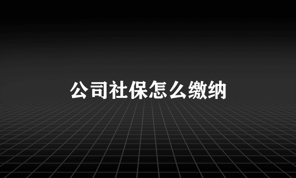 公司社保怎么缴纳