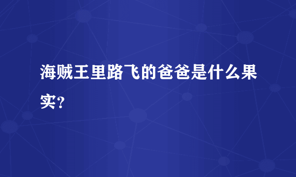 海贼王里路飞的爸爸是什么果实？