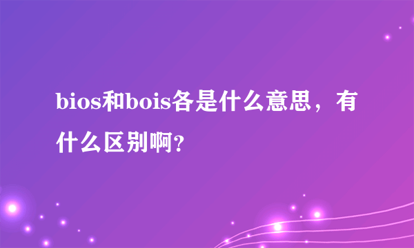 bios和bois各是什么意思，有什么区别啊？