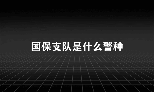 国保支队是什么警种