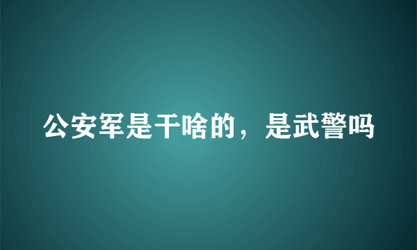 公安军是干啥的，是武警吗