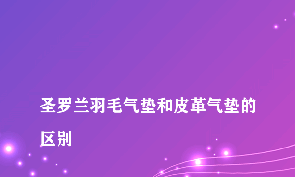 
圣罗兰羽毛气垫和皮革气垫的区别

