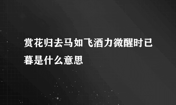 赏花归去马如飞酒力微醒时已暮是什么意思