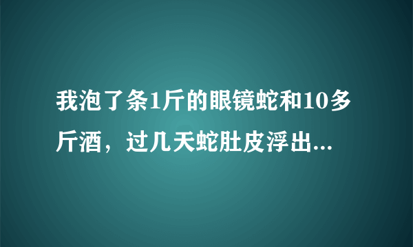 我泡了条1斤的眼镜蛇和10多斤酒，过几天蛇肚皮浮出面，已经死了。然后