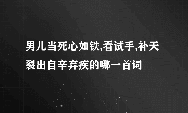 男儿当死心如铁,看试手,补天裂出自辛弃疾的哪一首词