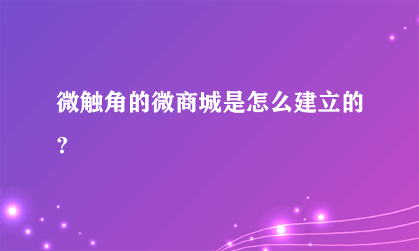 微触角的微商城是怎么建立的？