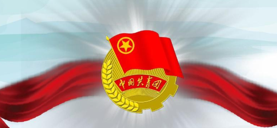 共青团的性质和地位