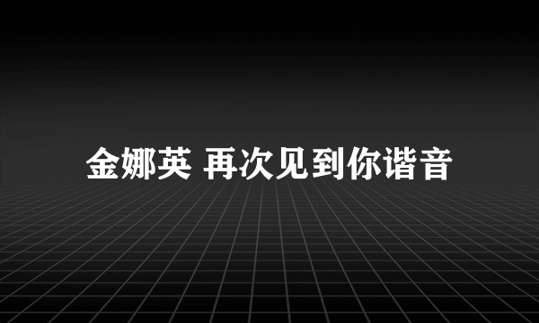 金娜英 再次见到你谐音